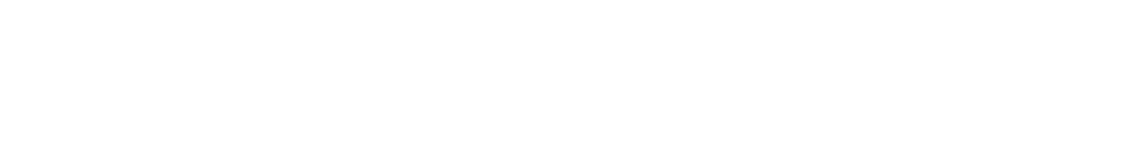 Black Falcon
